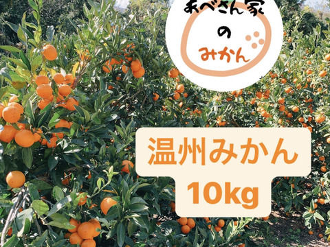 温州みかん 10kg 家庭用