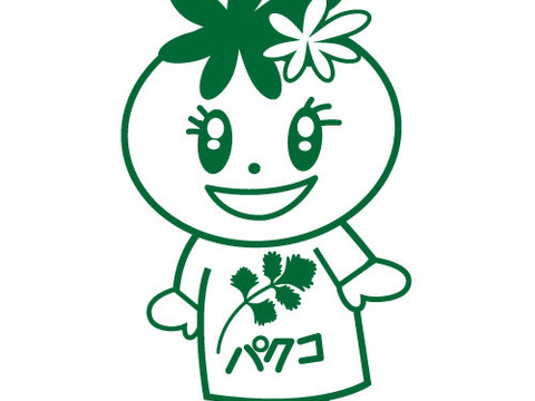 【5kg】通年栽培！！茨城県産NO.1の今朝獲れ新鮮パクチー(*☻-☻*)