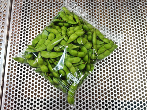 R6年分予約受付開始！松浦さんちの朝採りだだちゃ豆1.8キロ【600ｇ入×3袋】鶴岡特産の枝豆です。※発送開始8月1日前後
