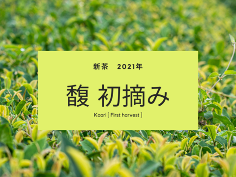 【2021年新茶】有機茶 川根茶 馥 初摘み (内容量: 100g)