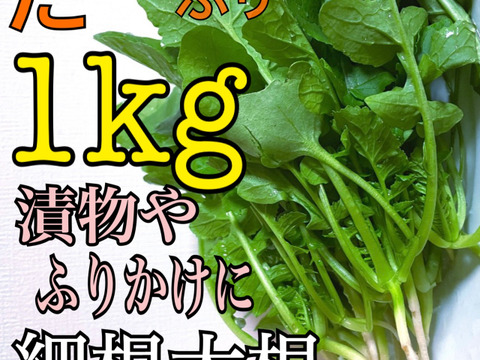 朝採れの1kgの細根大根を1kgお届け♪