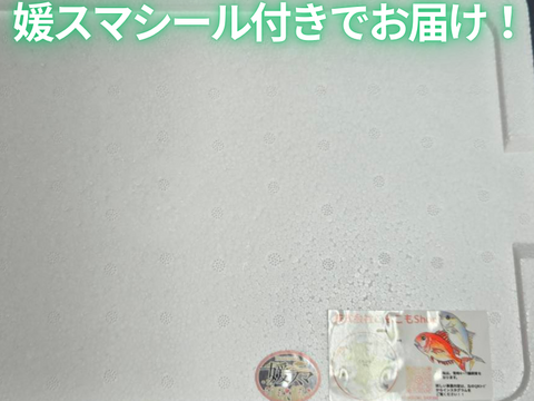 新星！養殖スマ(媛スマ)冷凍皮付ロイン(400g以上) 4パック/箱