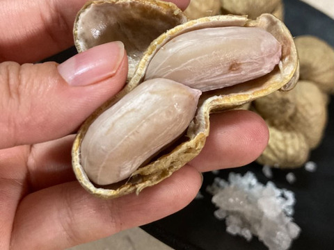 至高の生落花生400g自然栽培