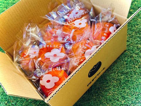 【家庭用】長生き次郎柿『長寿郎』超小玉16玉入り（出荷規格外品）鮮度保持フィルム個包装タイプ