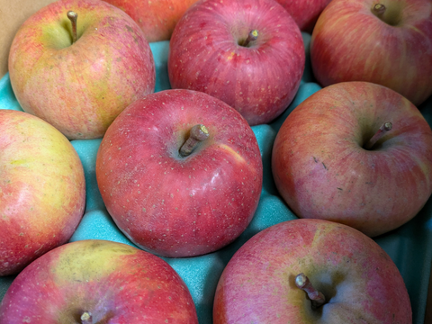 ゆっくり完熟！ 少し訳あり葉とらずサンフジ3キロ自家用