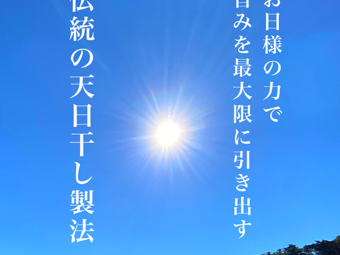 【訳あり】 真イカの丸干し 約１キロ　大中サイズ