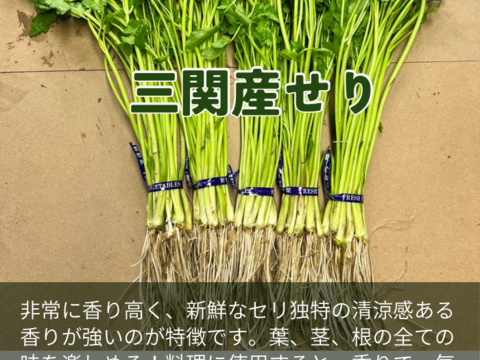 の 人気アイテムランキング 年始専用1月6日頃からの発送】セリ単品 500g 北限のせり 鍋 セリ 野菜