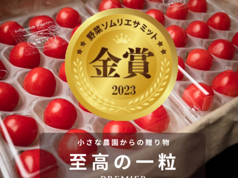 【金賞受賞】希少品種「プチぷよ」1箱40粒セット