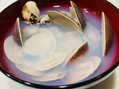 千葉県産　活中はまぐり　砂抜き済み　 1キロ（17-25個）