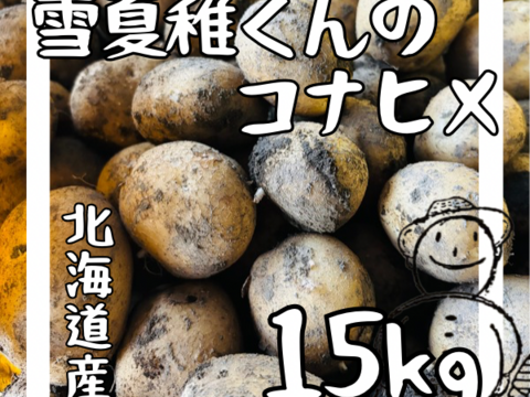 ［1月限定価格］《ホクホクMAX！！！》愛され食され40年『雪夏稚くん』のコナヒメver. 15kg（変更後）