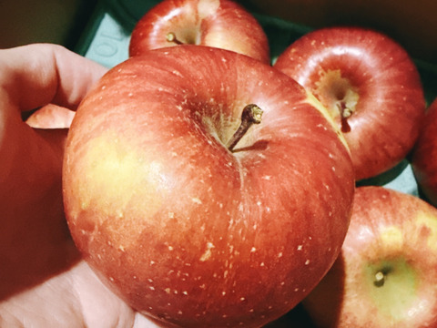 訳あり サンふじ  3キロ箱7～11玉 長野県産