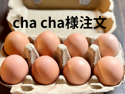 cha cha様注文『盈月の卵』世界最大級の鶏ブラマの卵8個入りx２　６個入りx１
