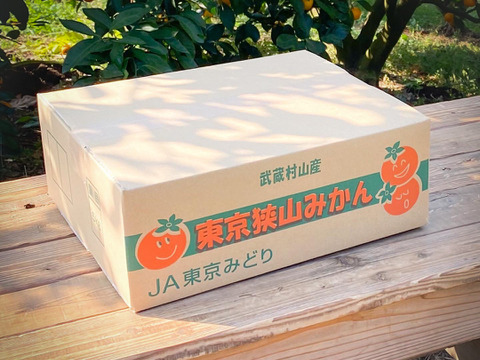 【お歳暮・ギフトに】とろける完熟！幻の東京産みかんMサイズ5kg【東京狭山みかん】