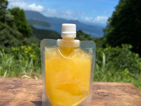 フローズン甘夏みかんジュース10本セット　（1本150ml）