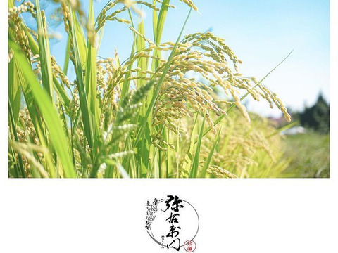 有機の本場、熱塩加納地区で栽培された有機栽培米(コシヒカリ)10㎏