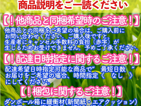 ※期間限定※【業務用】夏秋いちご［小サイズ]内容量4kg/8kg