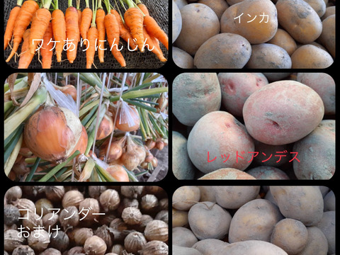 ※訳あり価格※カレー大好き百姓のじゃが・たま・にんじん+季節の野菜2品