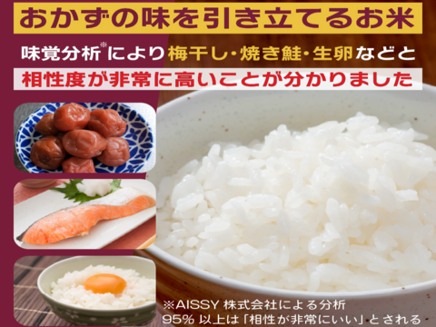 ふさうさぎ  2024年産福岡の米 玄米10kg 1_husa_10k_5k_2.jpg