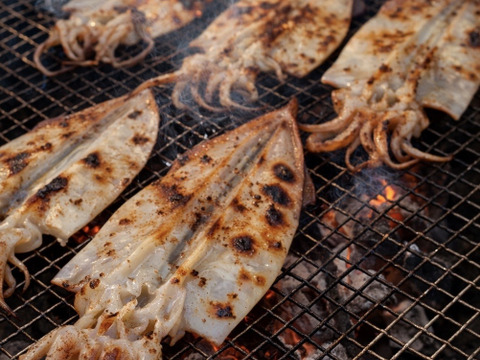 【新物】ぷりぷり★ヤリイカ一夜干し(中サイズ)