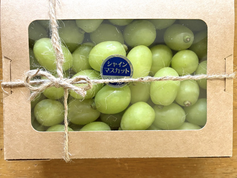 糖度MAX👆樹上完熟！ゴールデンシャインマスカット 粒売り１Ｋｇ×１Ｐ
