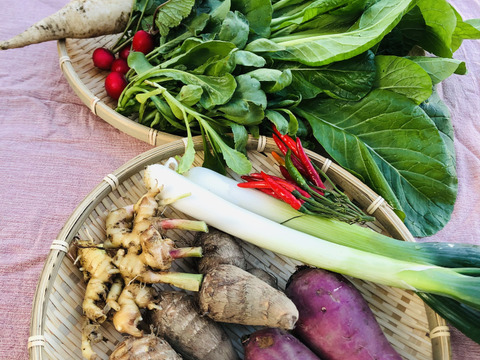 (単身者向け)未来へつなぐ 固定種・在来種 自然栽培野菜セット60サイズ　農薬不使用　有機肥料含む全ての肥料不使用