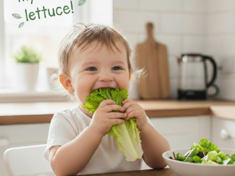 彩りと健康のレタス3種セット　レッドリーフ×フリルレタス×グリーンオーク　個包装約50g×6袋《高クロロゲン酸レタス＆異なる食感を楽しめる低硝酸態窒素レタス》