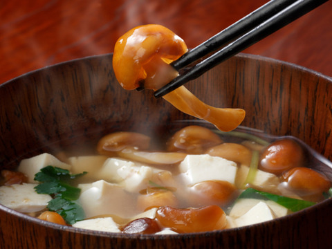 【厳選】歯ごたえと鮮度がちがう！北海道産「株付きなめこ」6株（約1.5kg）