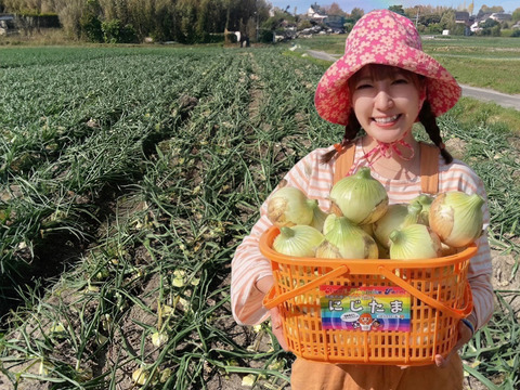 ◎農家直送!!【訳あり】淡路島産ブランド玉ねぎ 『にじたま』5kgダンボール入り（ご家庭用・13個前後） 使いやすいL・2L・3L混在！