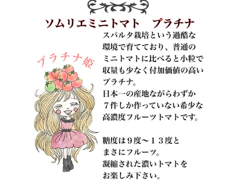 【特別栽培農産物の取得】＼極み／希少な高濃度フルーツトマト　ソムリエミニトマト　プラチナ３kg（１２０玉～２００玉）