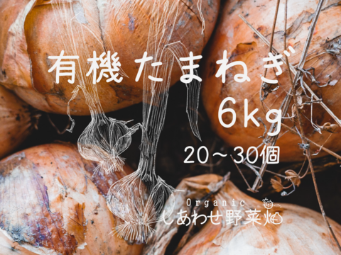 【有機JAS認証】たまねぎ６㎏