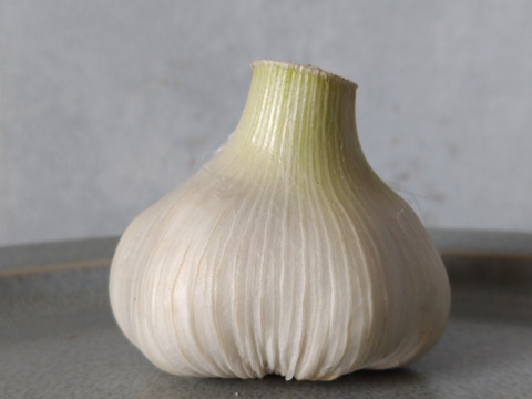 【有機JAS認証・期間限定】生にんにく 南アルプスの有機野菜 1kg