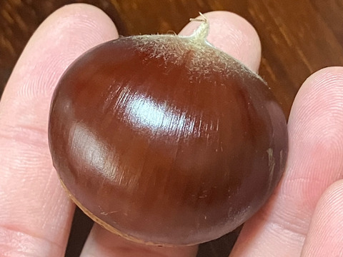 低温熟成・無燻蒸 サイズバラ栗 (１㎏)