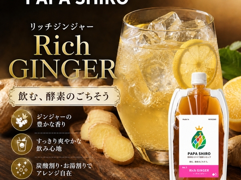 パパイア王子 宮崎パパイア酵素シロップ ジンジャー シロップ 250ml 希釈ドリンク 酵素 青パパイヤ スーパーフード パパイン酵素 日本産 ポリフェノール パパイヤ