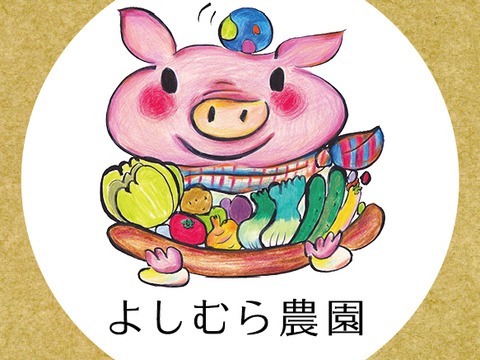 オーガニック赤玉ねぎ【有機JAS認証】 1kg：香川県産の玉ねぎ