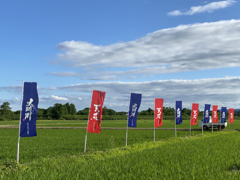 【12月27日（金）注文分まで年内にお届けします！！】【お酒の福袋】純米大吟醸無濾過生原酒が必ず１本入っている！？年末年始に楽しめる日本酒セット【年末年始限定の大人気企画】