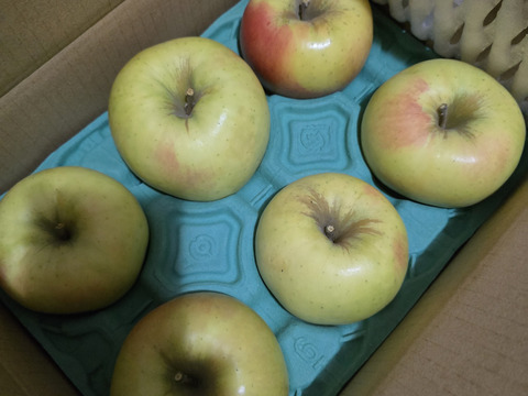 マツコDXさんが絶賛✨【このりんごを嫌いな人はいますか？？】名月 3キロ箱 6玉〜16玉サイズ 商品ID44435 ぐんま名月 甘い 信州 リンゴ 幻 幻のリンゴ 予約 希少