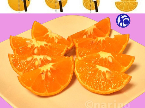 希少品種「べにばえ」天草の芳潤な和製オレンジ（ご家庭向き5kg）