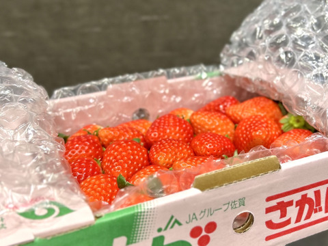 大きさ色々♥華やぐ香り♥　さがほのか 　約７００ｇ🍀