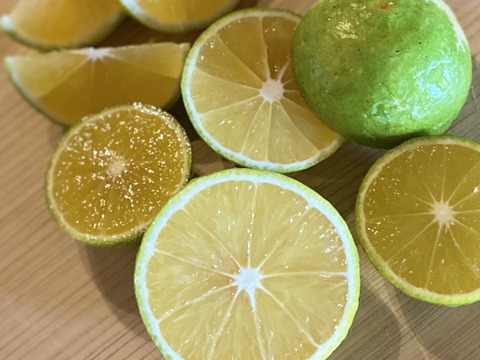 自然栽培かぼす３キロ【種なし】