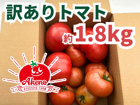 【訳有り品】キズあり不揃いトマト約5.4キロ