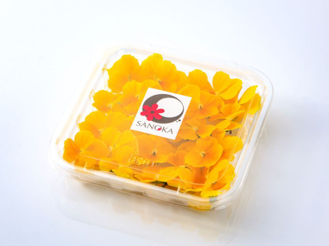 美食の演出！エディブルフラワー『SANOKA』ビオラ クリアイエロー 20輪入り 食用花 ケーキ スイーツ デコレーションにも！