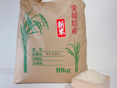 令和6年度産】新米 コシヒカリ 10㎏ ＊特別栽培米＊：愛媛県