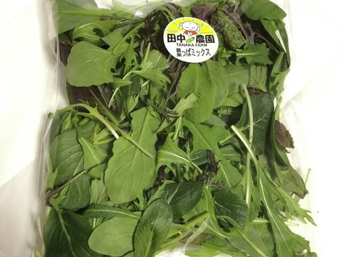 洗ってお皿に盛り付けるだけの『サラダセット』50g×10袋