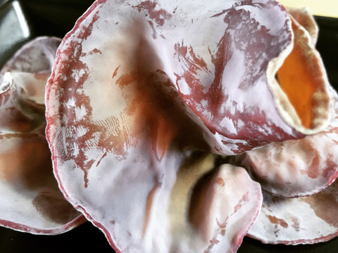 【食べ比べ】コリコリ★プリプリ☆徳島県産乾燥きくらげ白黒30g×6