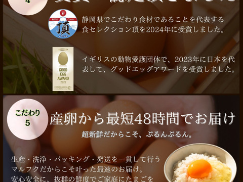 黄身が甘い！富士山麓の放し飼い卵『福が、きた』【10個入×2PC】