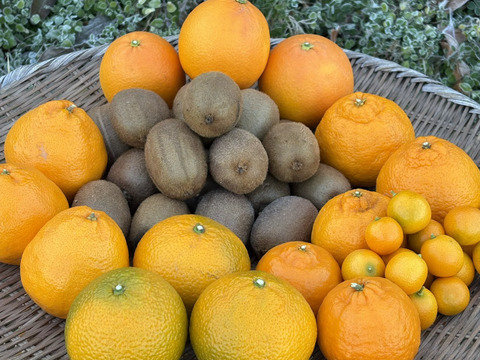 [送料500円引] 特盛フルーツセット8種