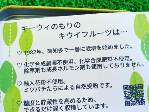 【福袋2022】アメルド〈松〉極美味キウイ
約500g(4玉前後)