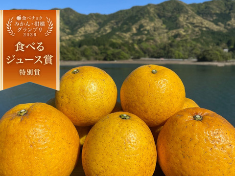 箱込み12kg 河内晩柑（あまくさ晩柑）栽培期間中に農薬、化学肥料不使用　【熊本県天草特産】