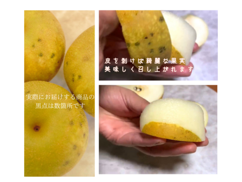 【幸水3kg箱いっぱい】【家づかい用】甘さダントツ一番！太陽の恵みいっぱい！庄内甘熟梨