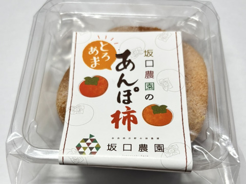 【あんぽ柿】＜ご家庭用に最適！＞（秀品）中サイズ10個段ボール箱入り